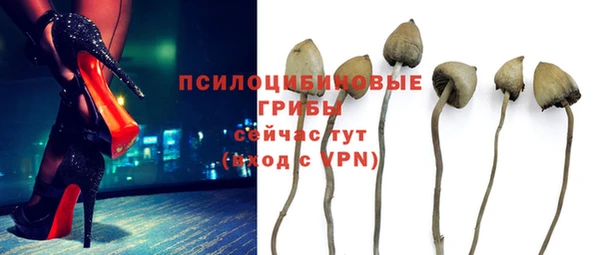 МДМА Няндома