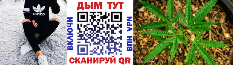 как найти mega сайт нарко площадка какой сайт Пойковский Шишки марихуана план
